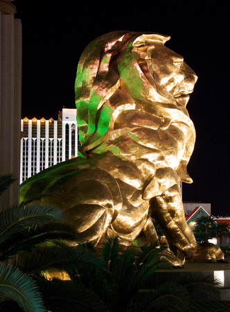 Night MGM Lion