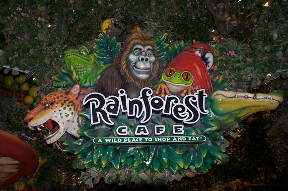 Rain Forest Sign