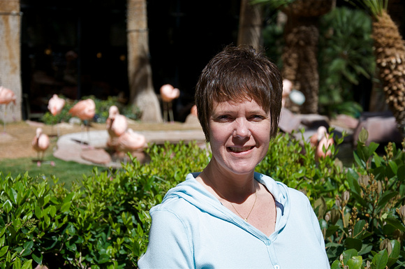 Flamingo Hotel - Flamingo area